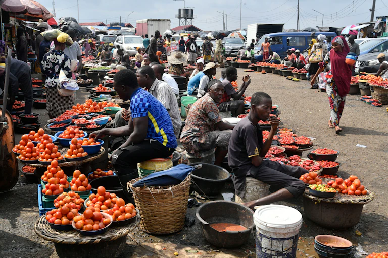 A group of people sitting at a roadside with piles of tomatoes on plates