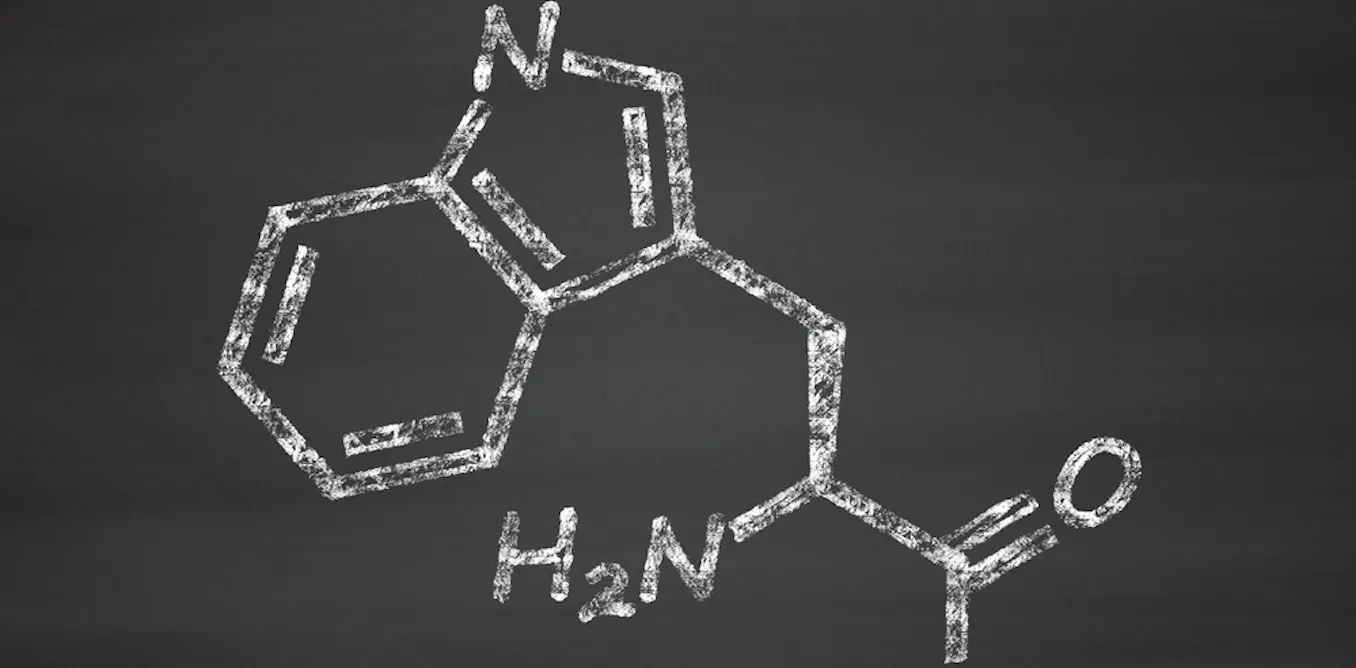 Claves para aumentar la eficacia del triptófano, aliado de nuestra salud mental