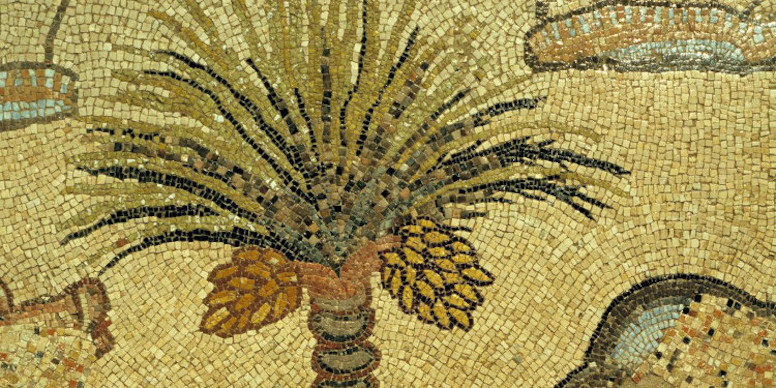 Détail d'une mosaïque byzantine, site de Jabaliya.