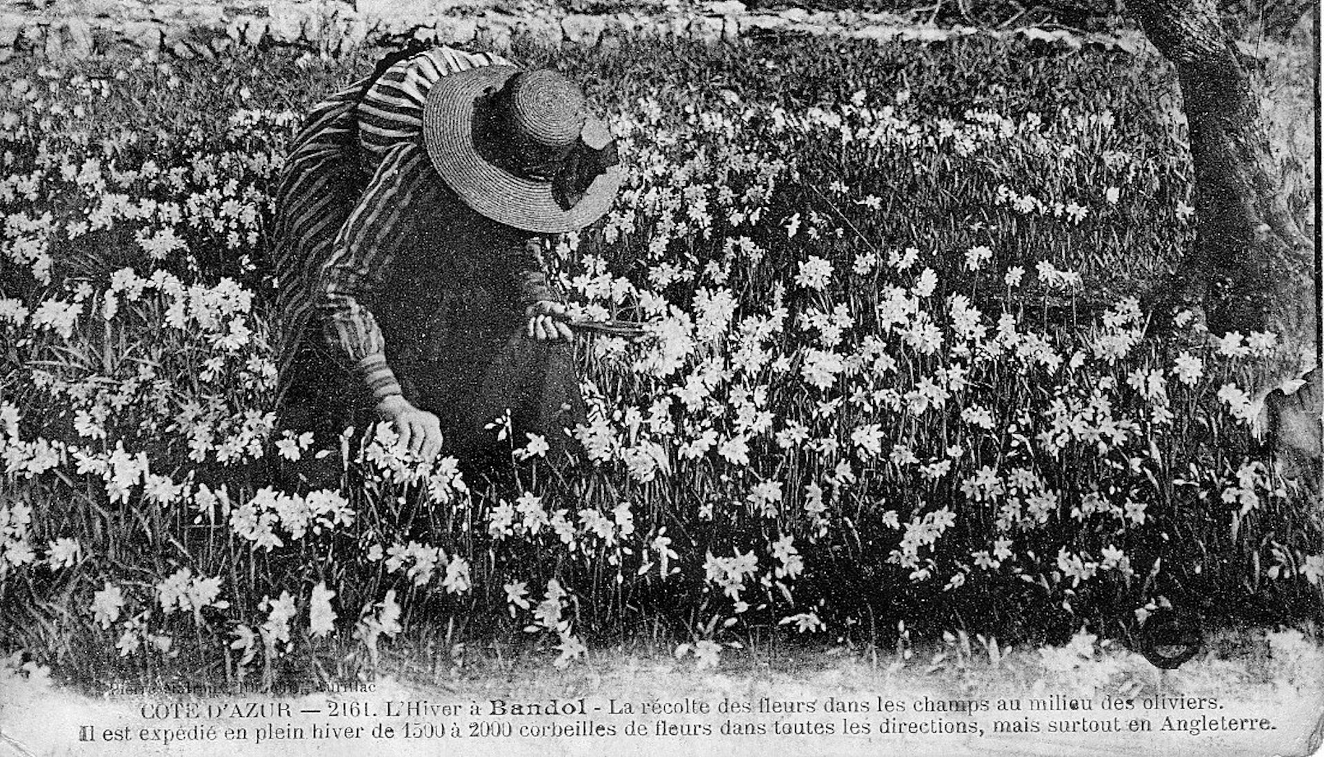 file 20250917 56 gcjjdm.jpg?ixlib=rb 4.1