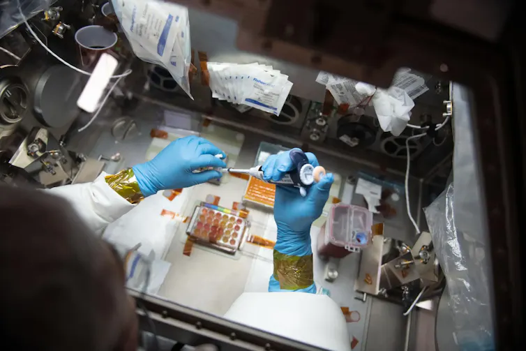 Vue de dessus d’un scientifique en blouse de laboratoire et portant des gants, manipulant une pipette sur un plan de travail à bord de l’ISS