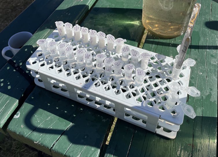 Small vials of water in a grey holder.
