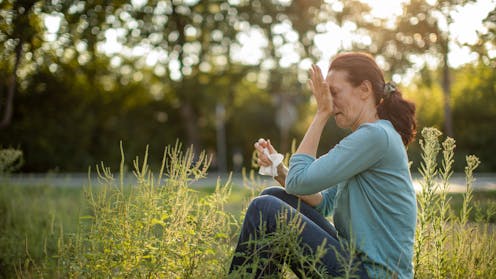 Parts of NZ could be heading into a wetter summer – a blessing in disguise for allergy sufferers