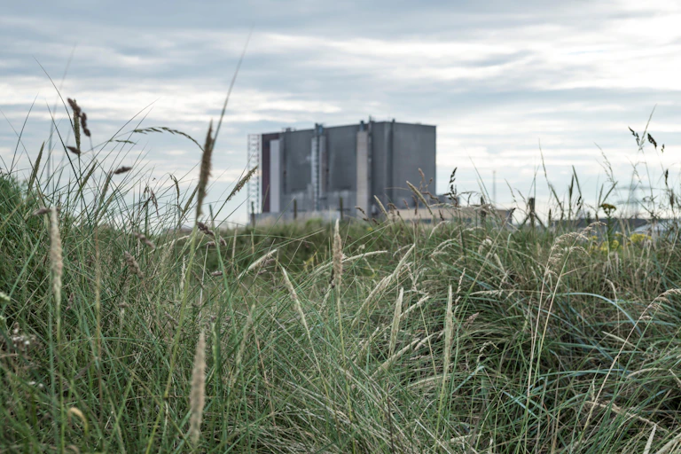 Nuclear power station seen through grass