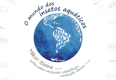 Imagem da capa do livro O mundo dos insetos aquáticos. O título aparece no alto, sobre um globo terrestre em que os países são formados por desenhos dos insetos aquáticos. Abaixo do globo, lê-se o nome do livro nas línguas Apurinã e Paumari
