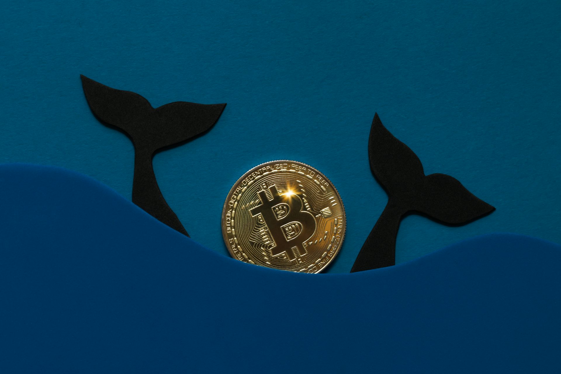 Queues de baleine dans une mer de bitcoins