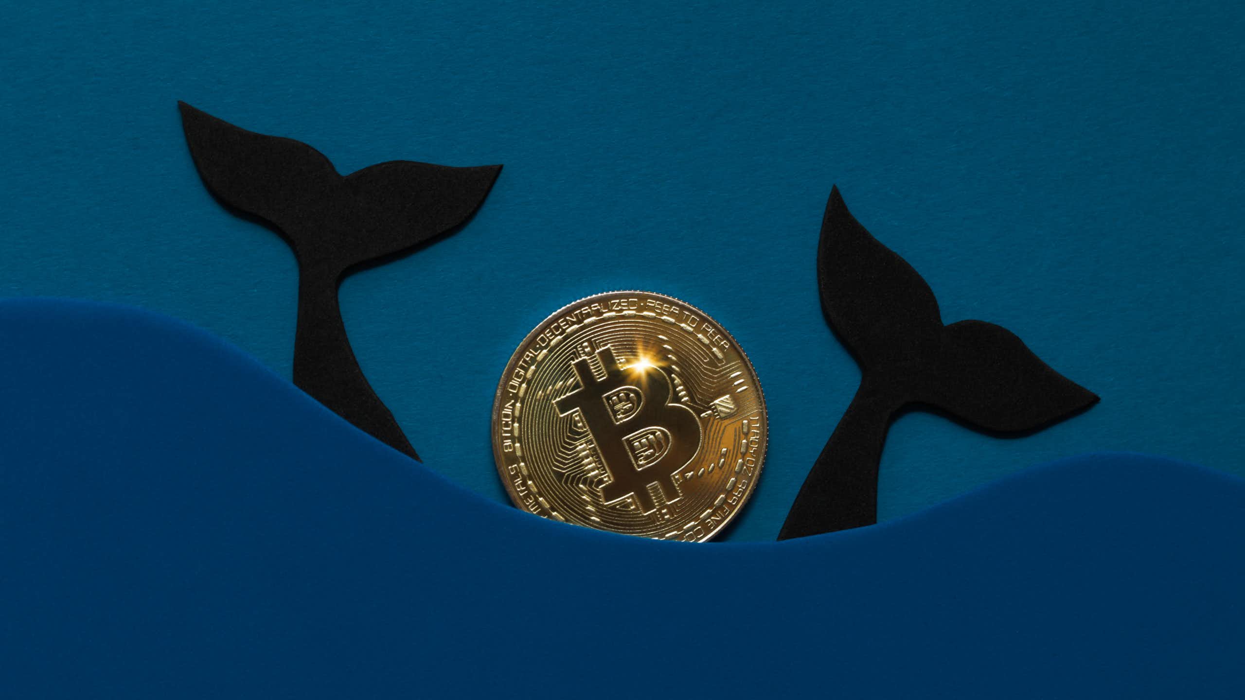 Queues de baleine dans une mer de bitcoins