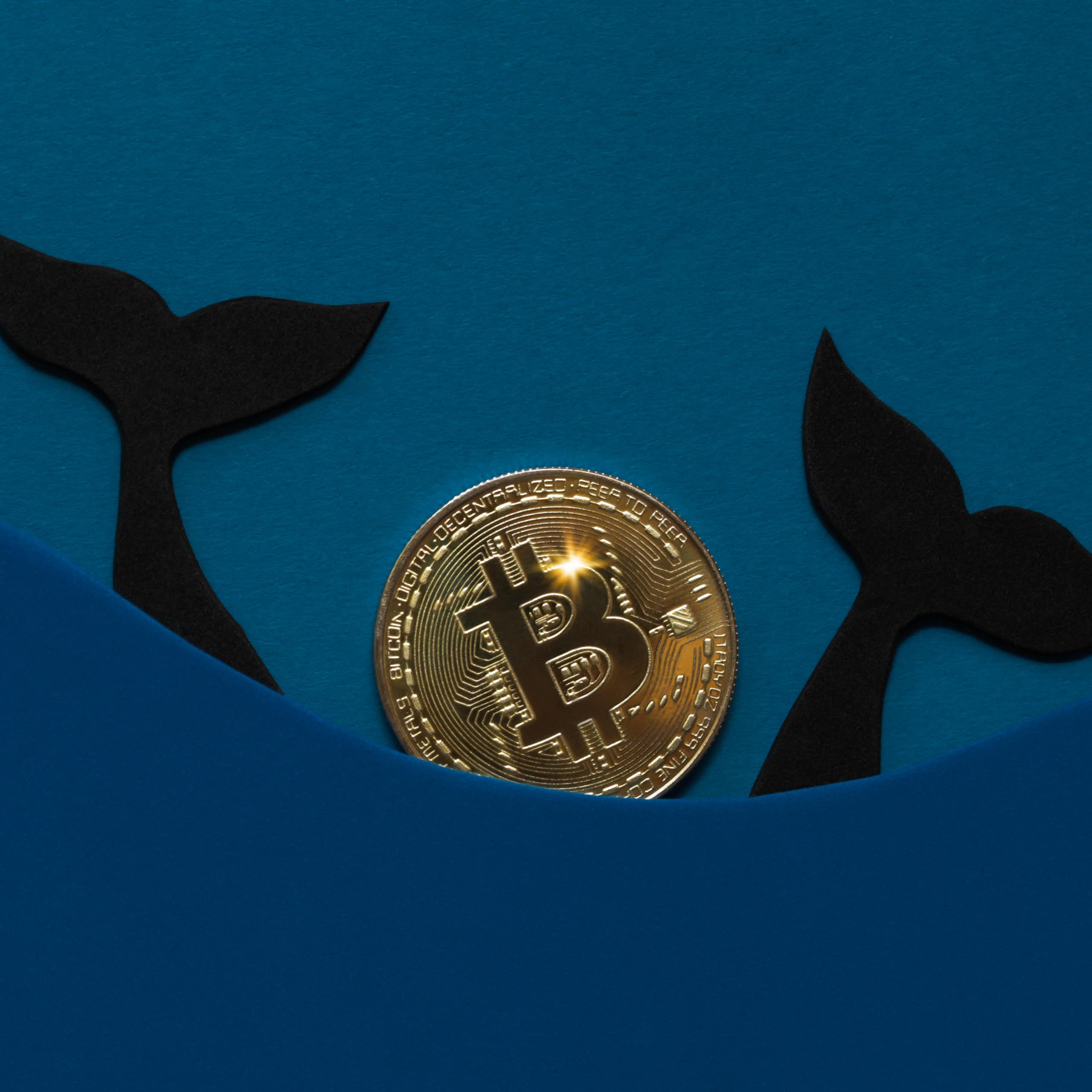 Queues de baleine dans une mer de bitcoins