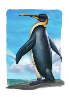 An artistic reconstruction of a fossil penguin