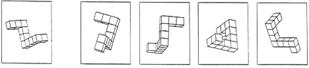 Mental Rotation Task 10 Examples Even before they can read, young children are visualizing letters and ...
