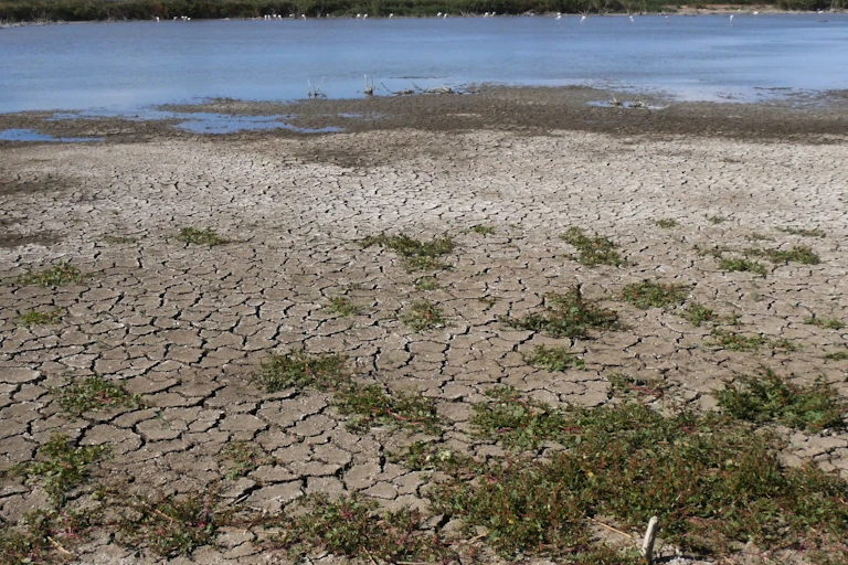 la terre craquelée par manque d'eau en Camargue