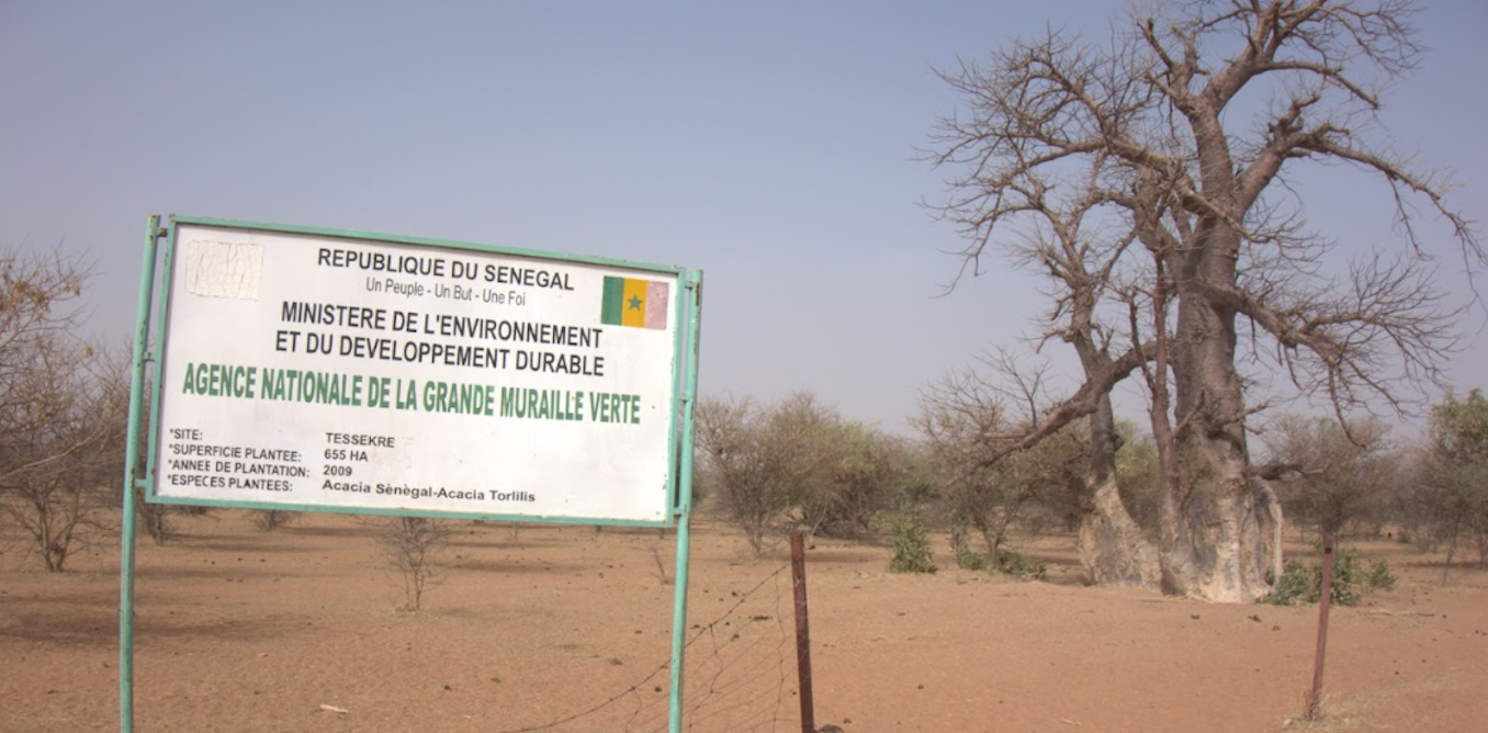 Africa’s ‘great green wall’ is stalling: in Senegal very few planted areas show progress