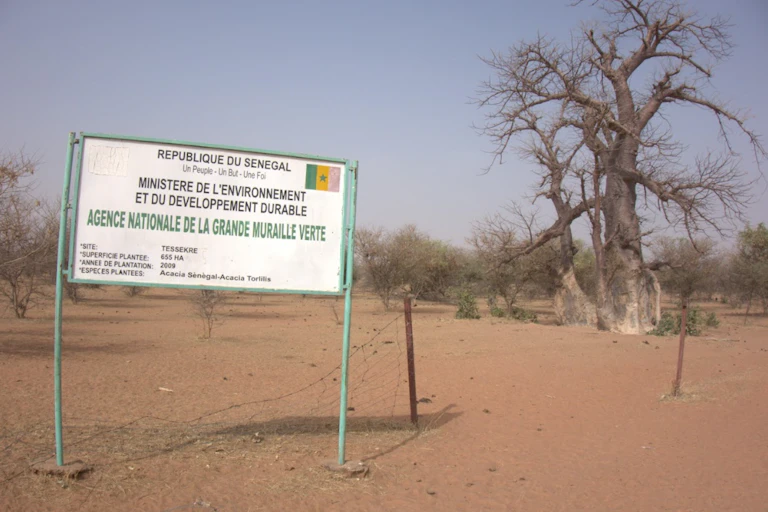 A sandy environment with a few sparse trees and a government sign in front