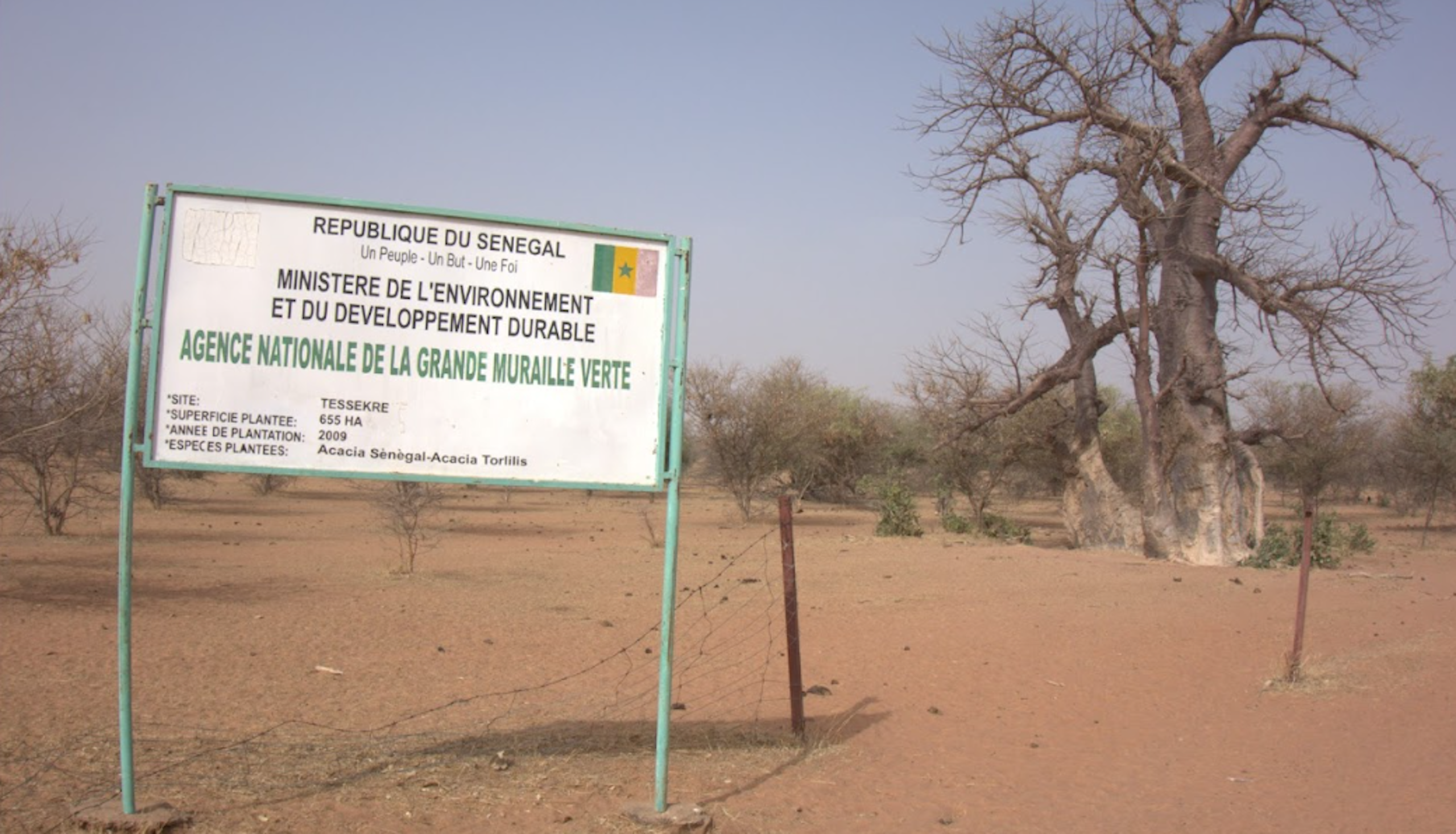 A sandy environment with a few sparse trees and a government sign in front