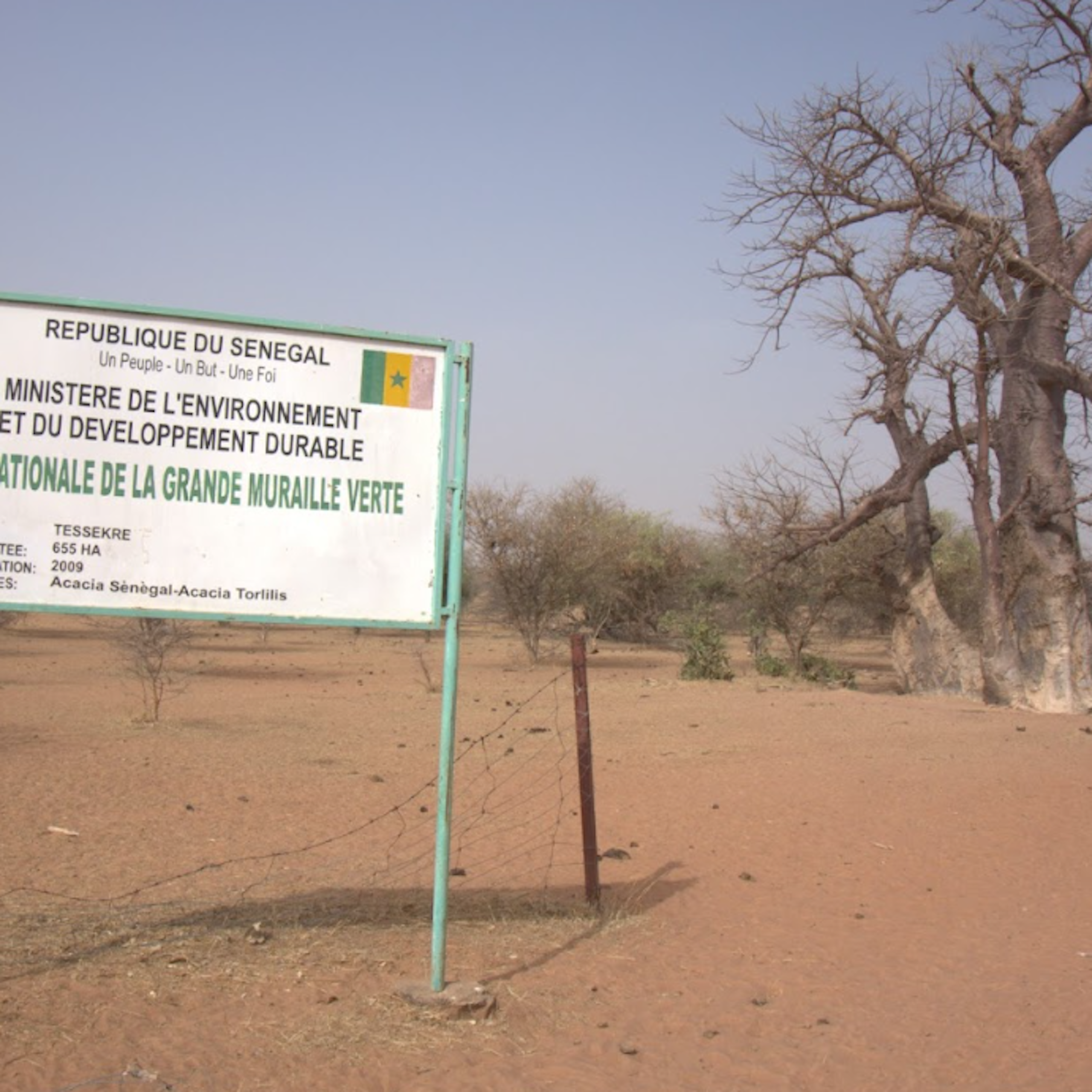 A sandy environment with a few sparse trees and a government sign in front
