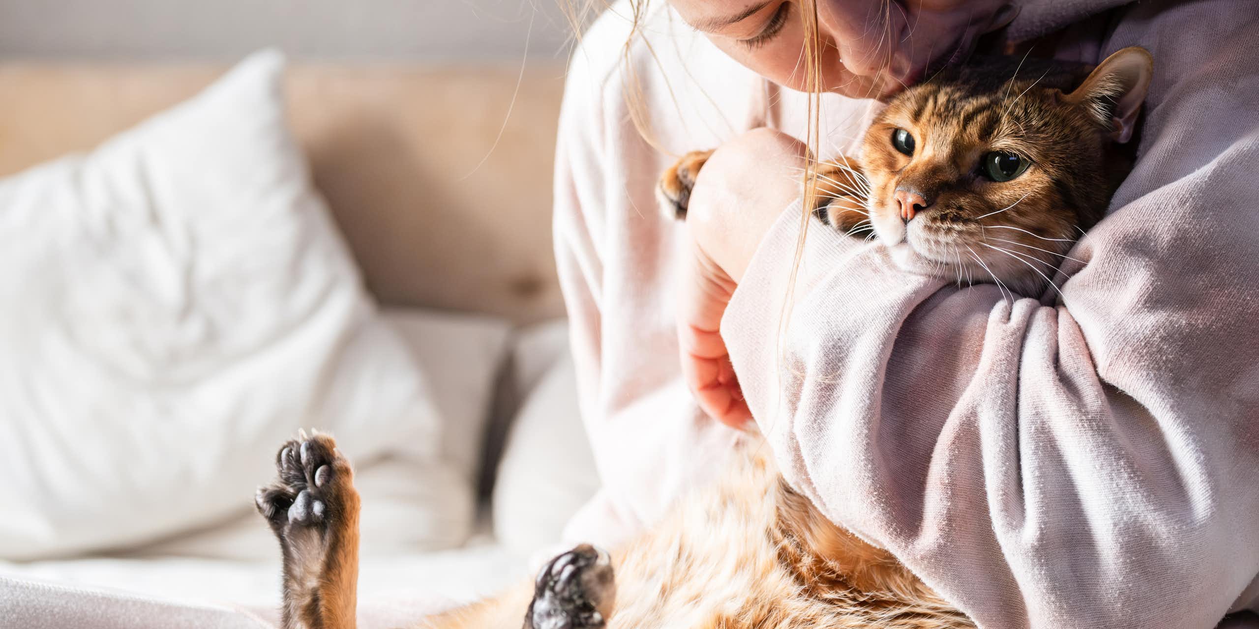 Avoir un chat a des bienfaits sur votre cerveau… et le sien