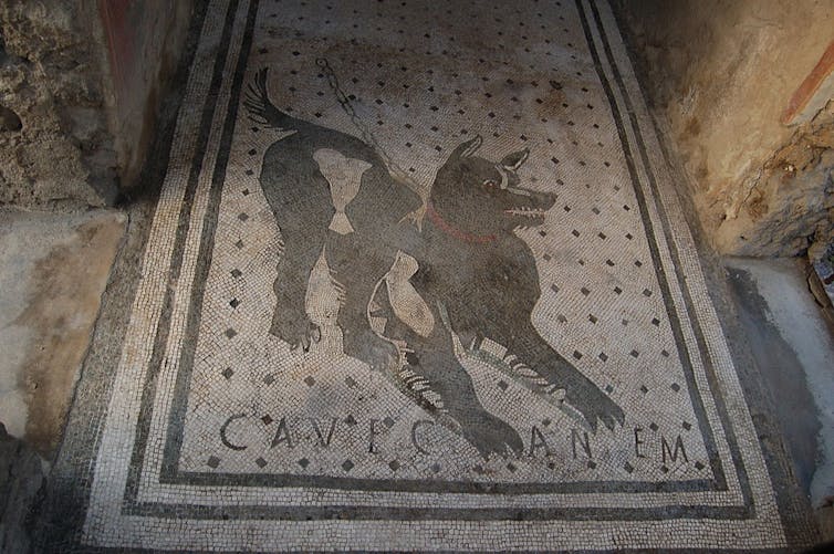 Mosaico de un perro en el suelo de una casa romana con la inscripción CAVE CANEM.