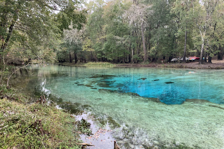 clear, bright turquoise water surrounded by trees