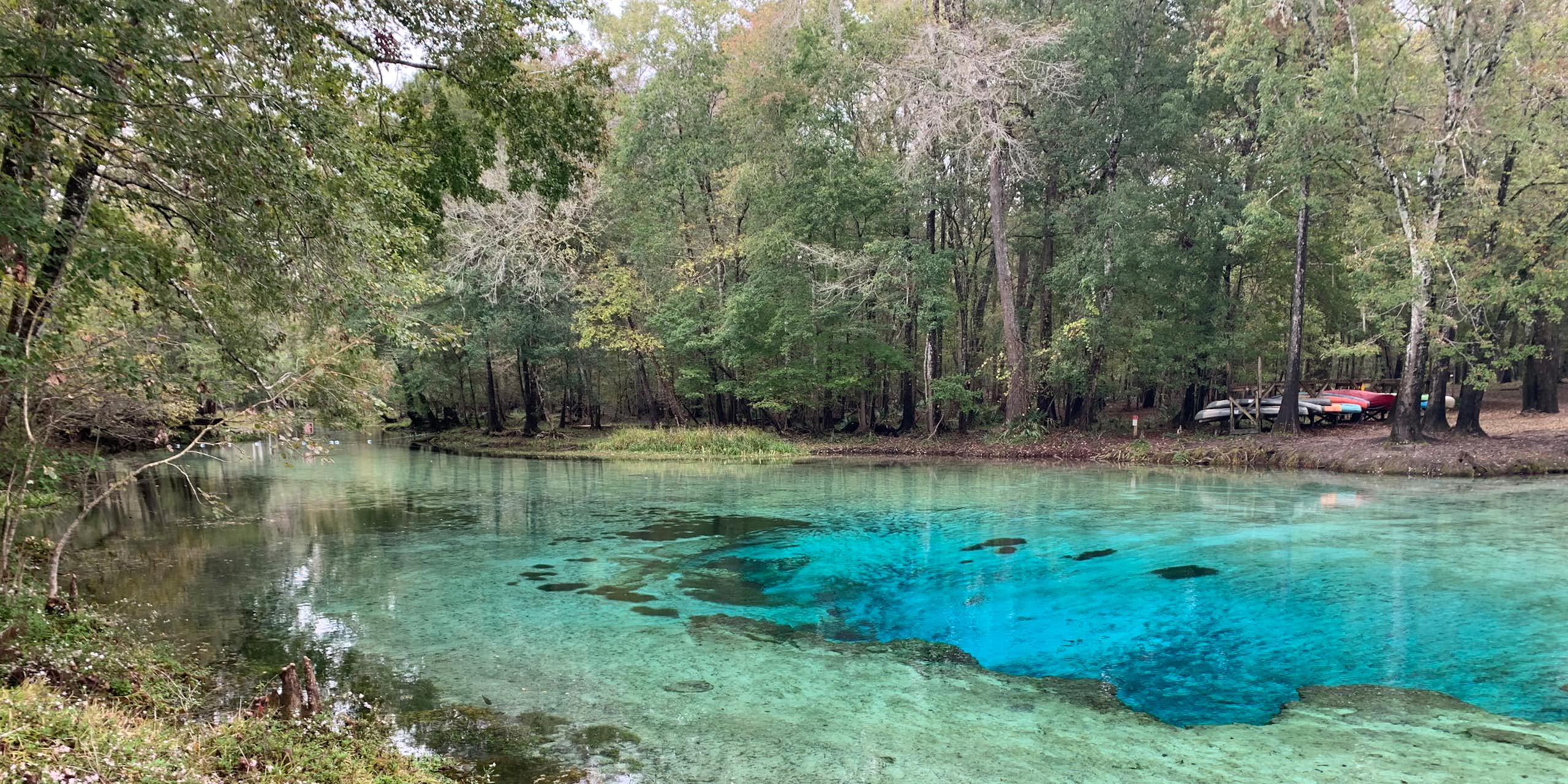 clear, bright turquoise water surrounded by trees