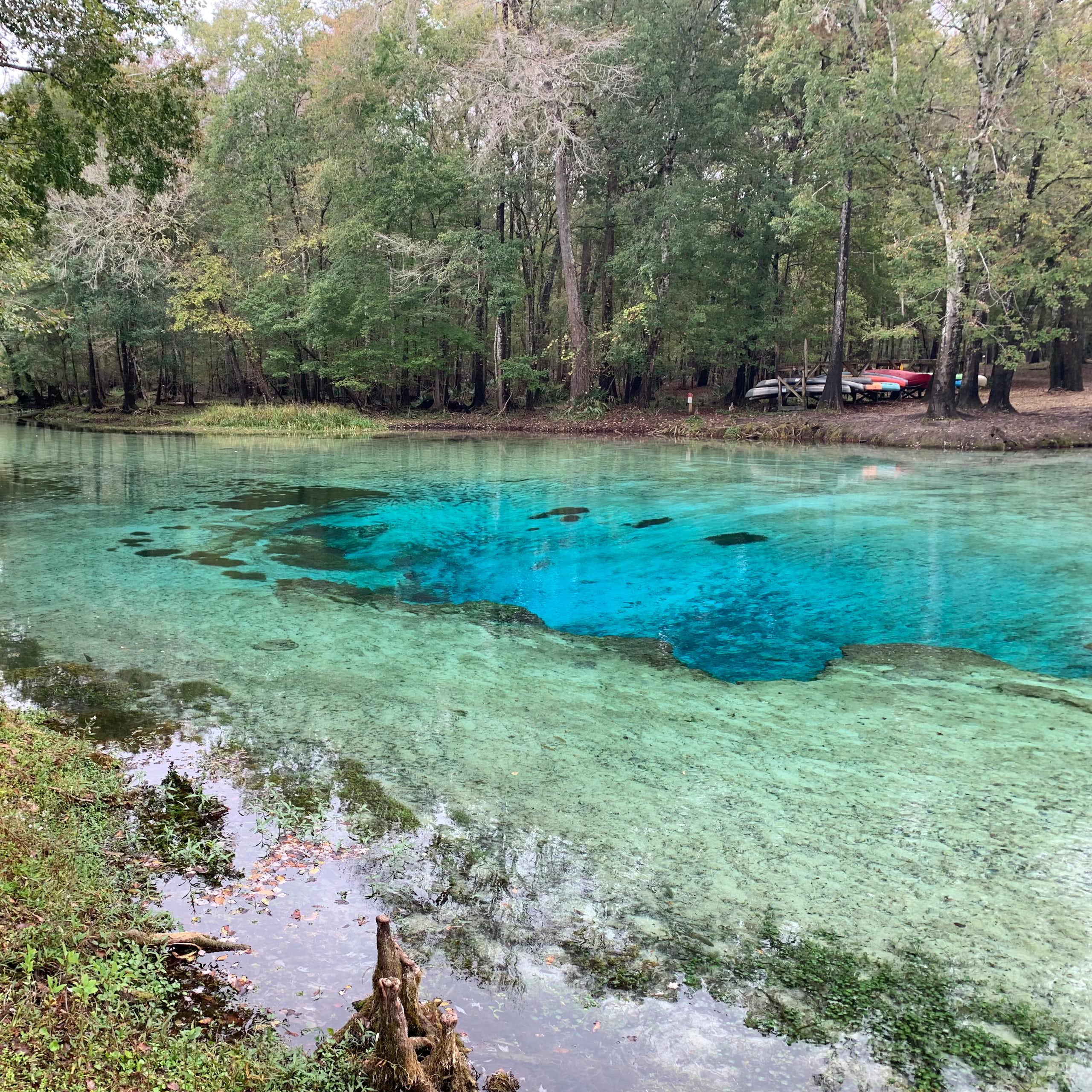 clear, bright turquoise water surrounded by trees