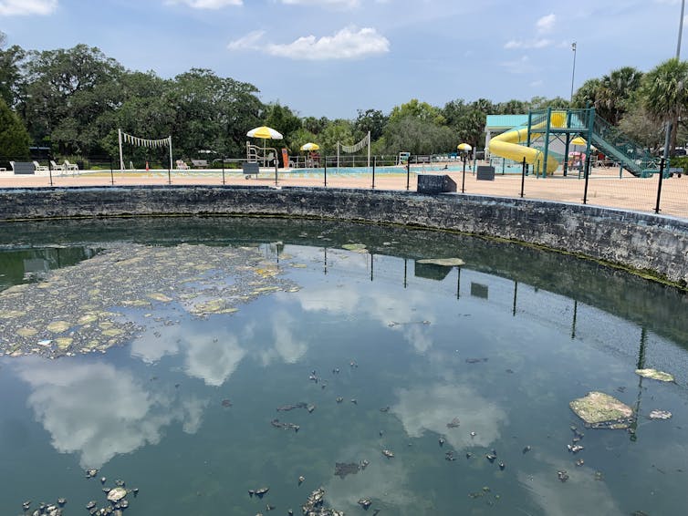 standing water in a pool