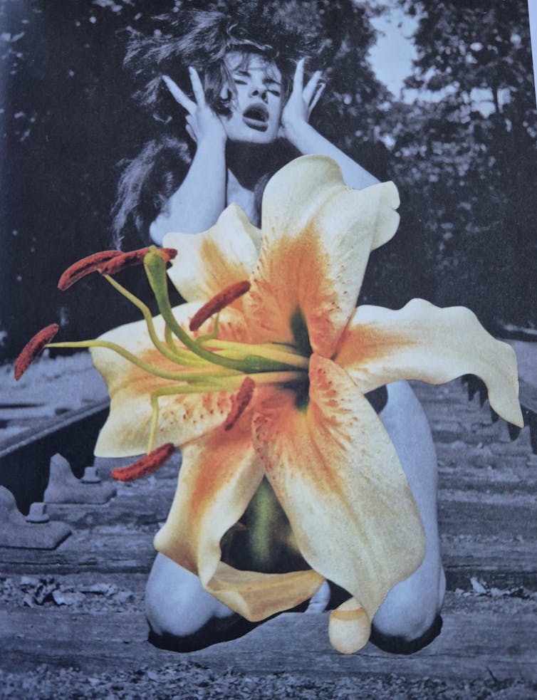 A black and white images of a woman with a huge lily in full colour protruding from her stomach.