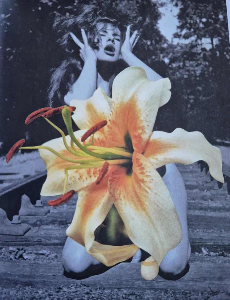 A black and white images of a woman with a huge lily in full colour protruding from her stomach.
