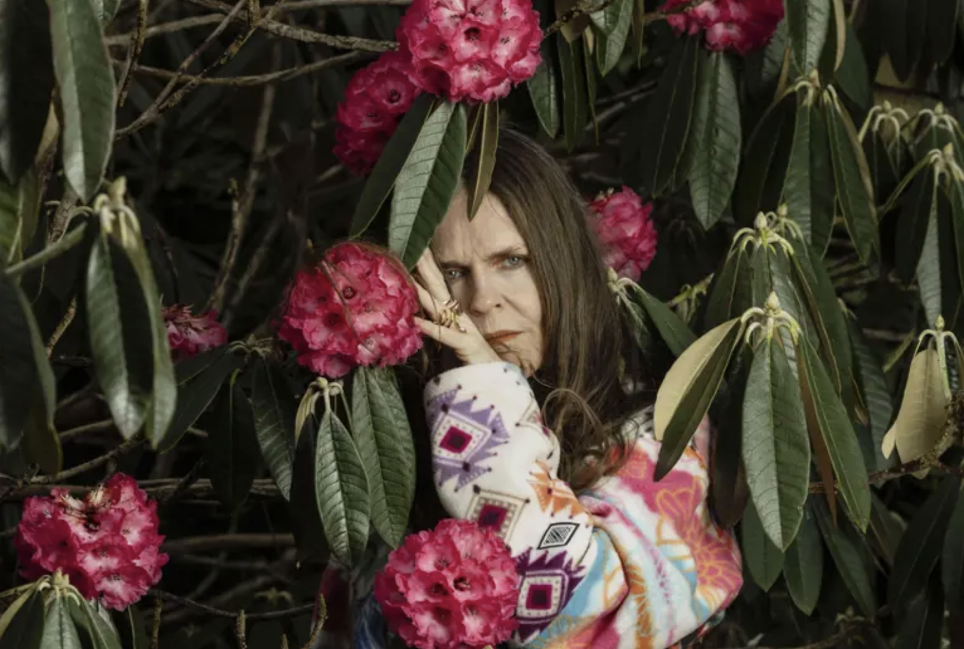 50 years of Linder’s art – feminism, punk and the power of plants