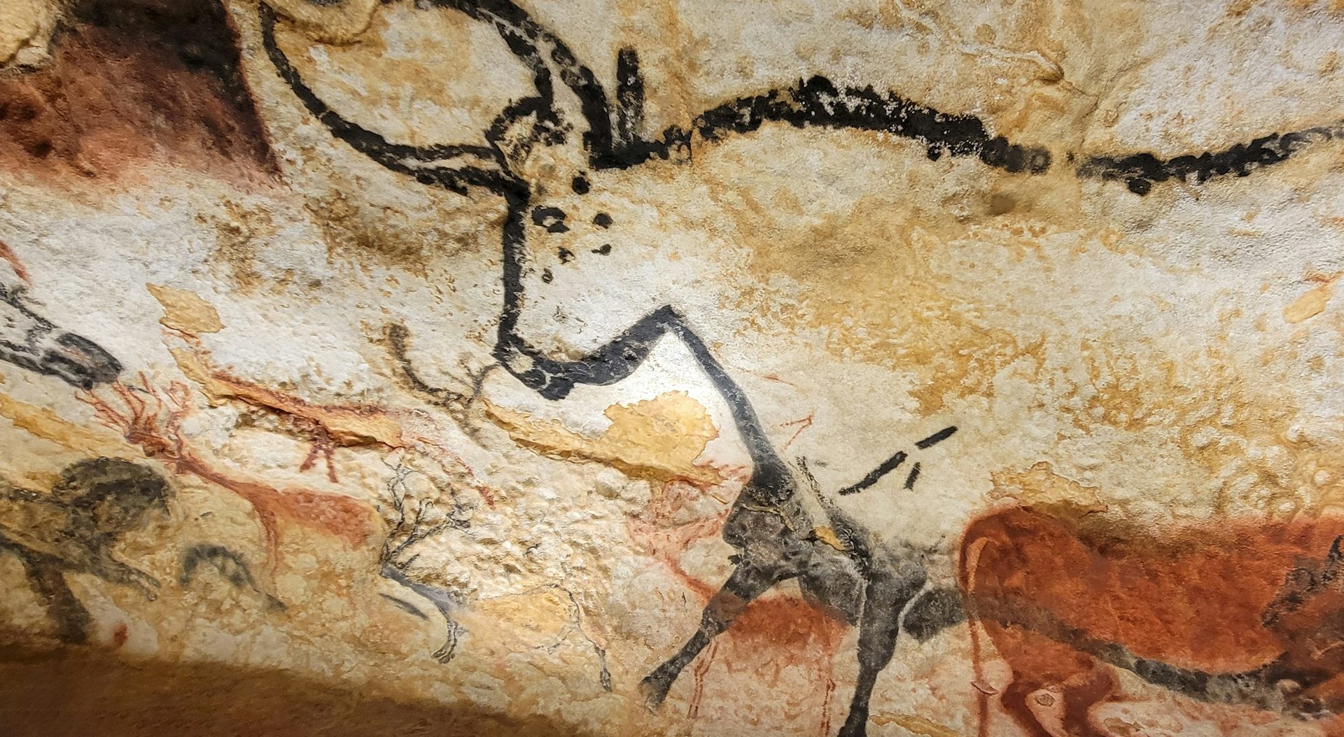 A cave painting of a horned bull