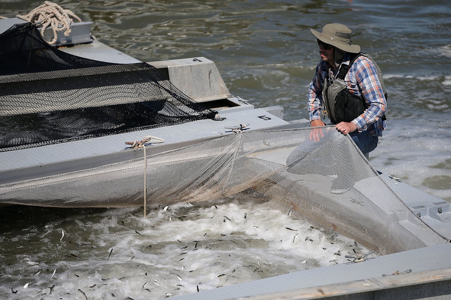 A person stands in water and holds a net full of small fish.