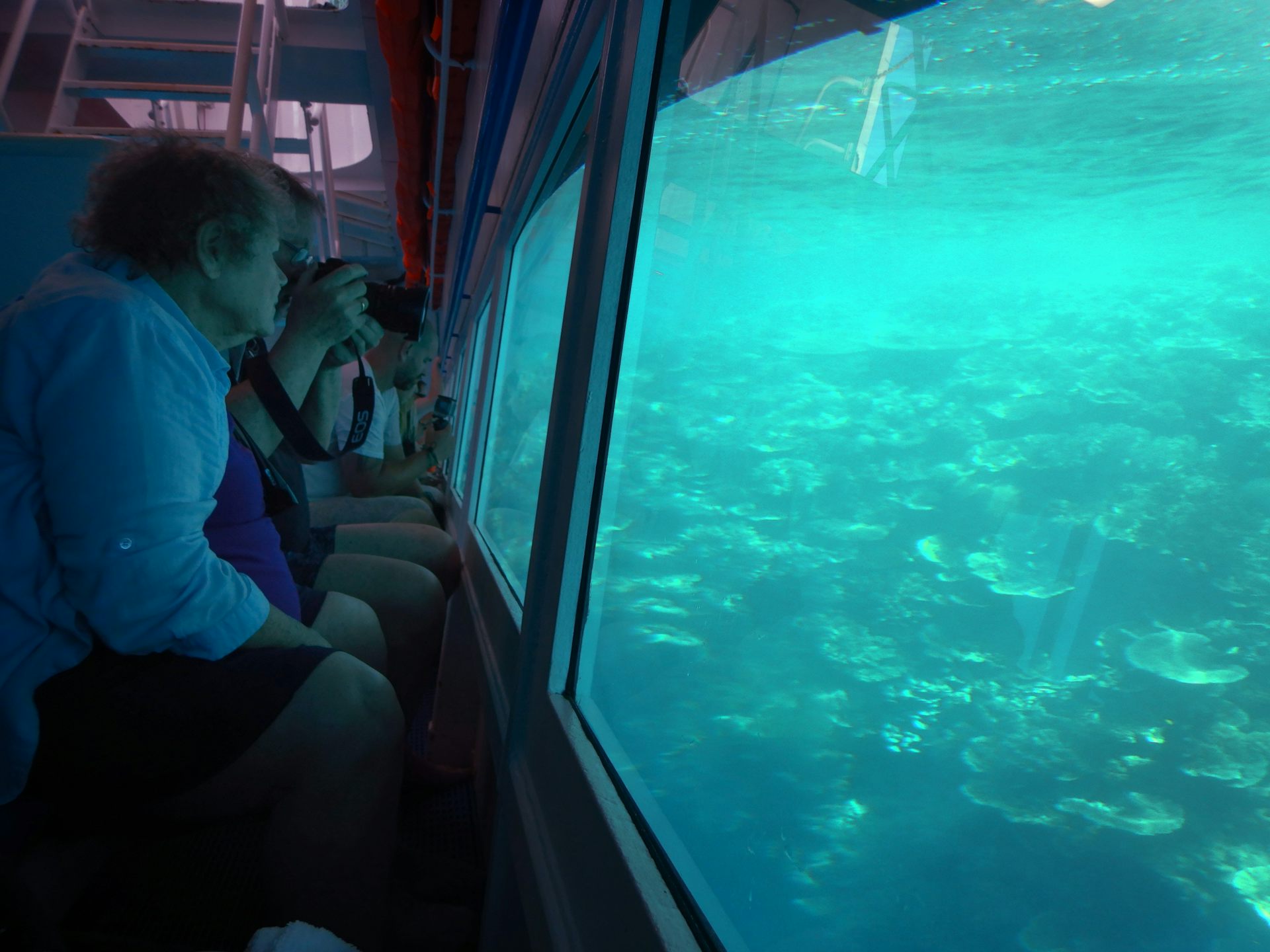 People in a submerged vessel look out window at coral reef.