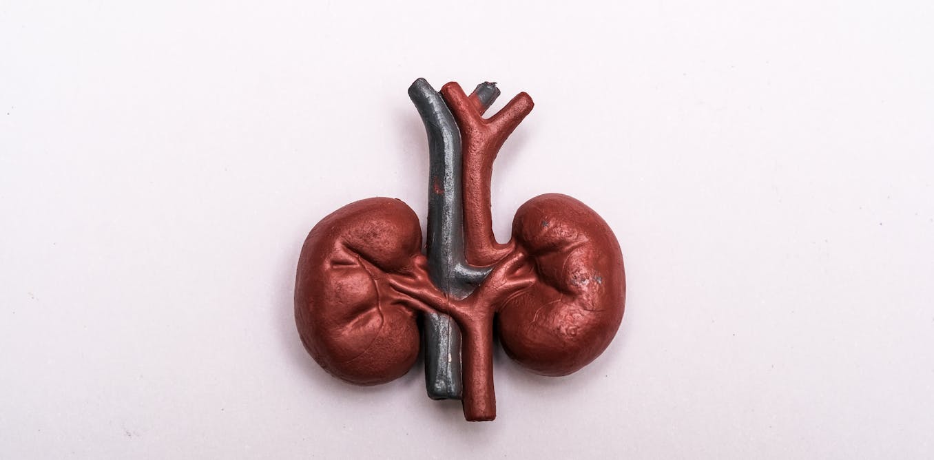 Could your urine predict your dementia risk? Could your urine predict your dementia risk?