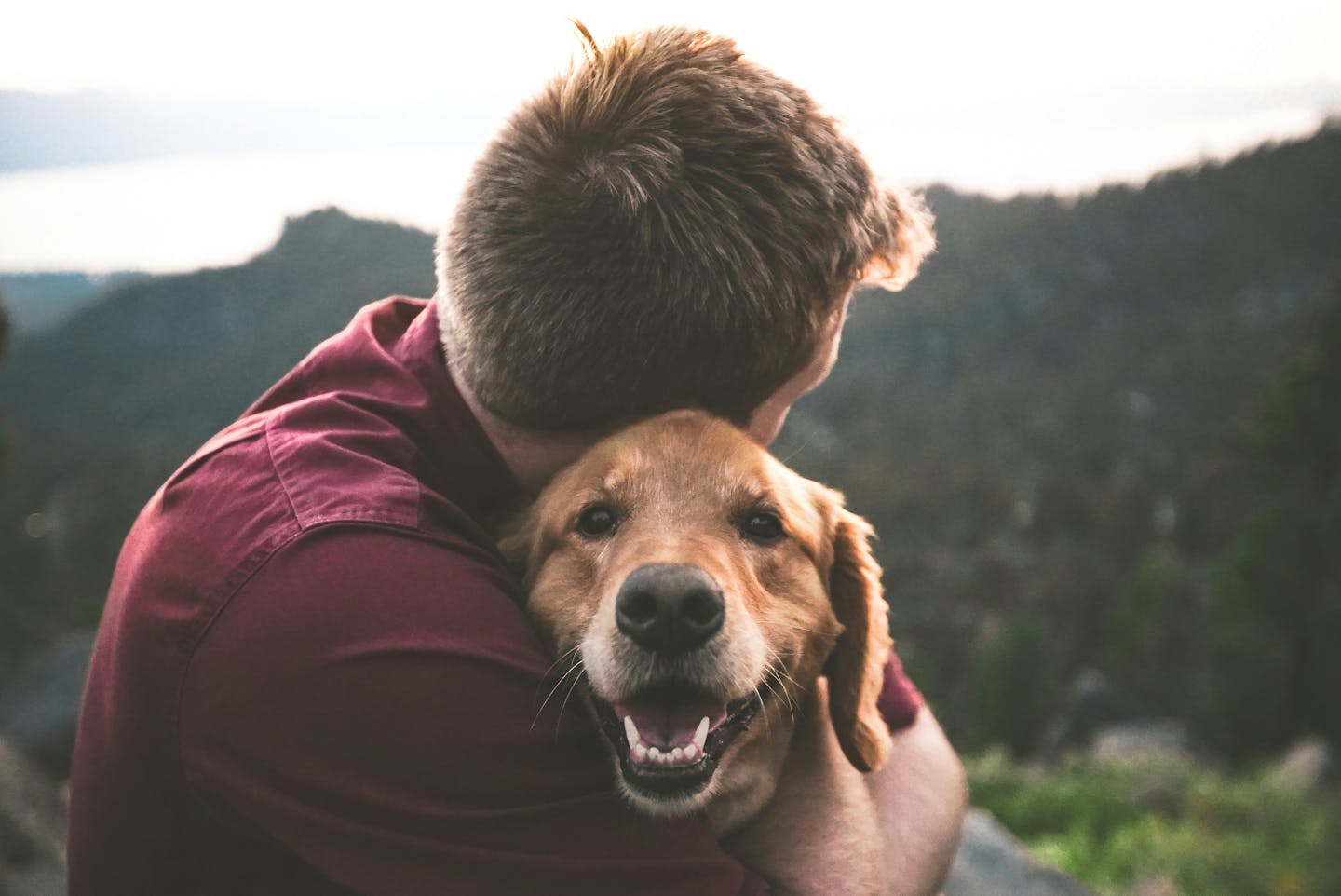 A man outdoors hugging a golden retriever