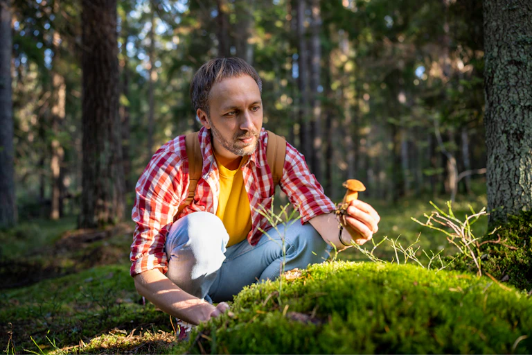 Un homme, accroupi dans un bois, ramasse un champignon.
