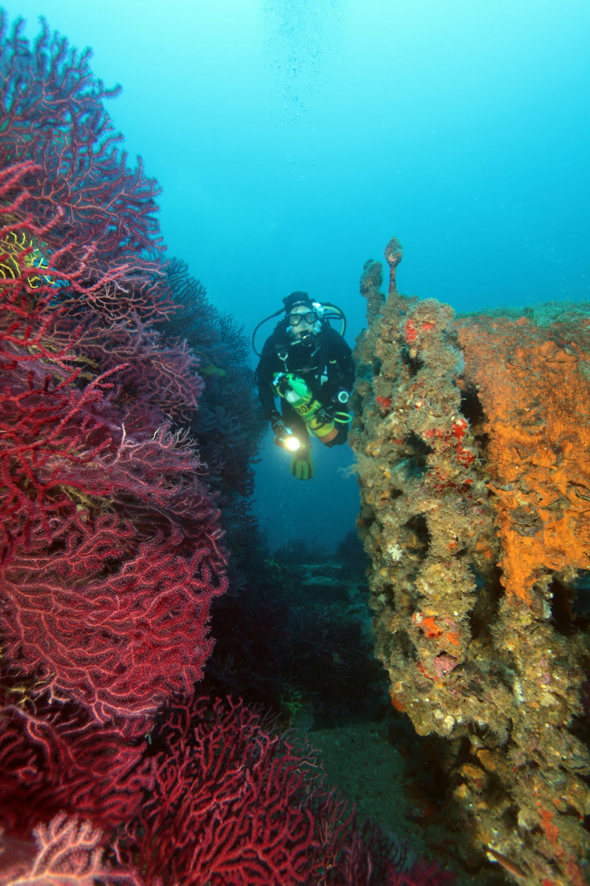 file 20250930 56 o01ijv.jpg?ixlib=rb 4.1