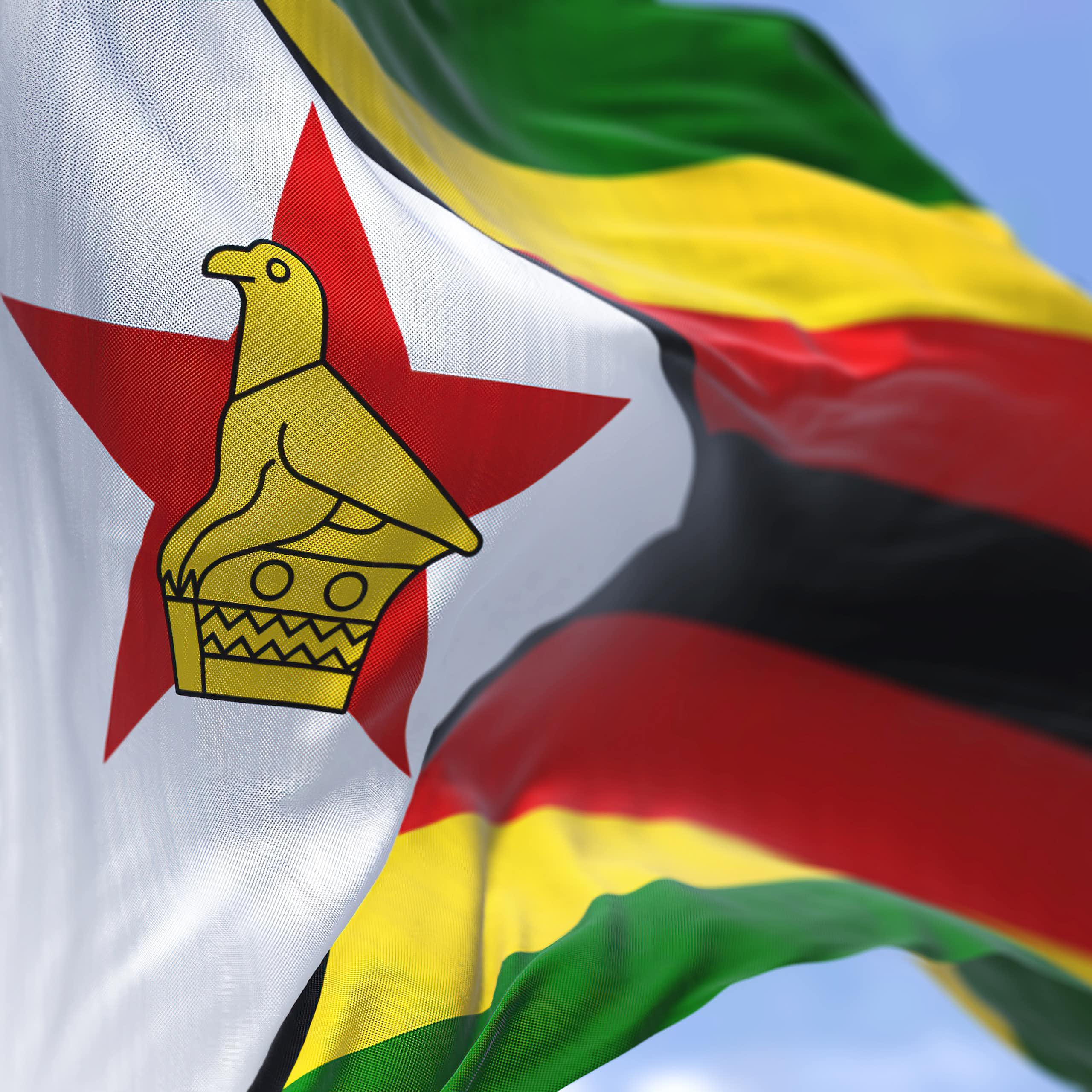 Green, yellow, red, white, black flag