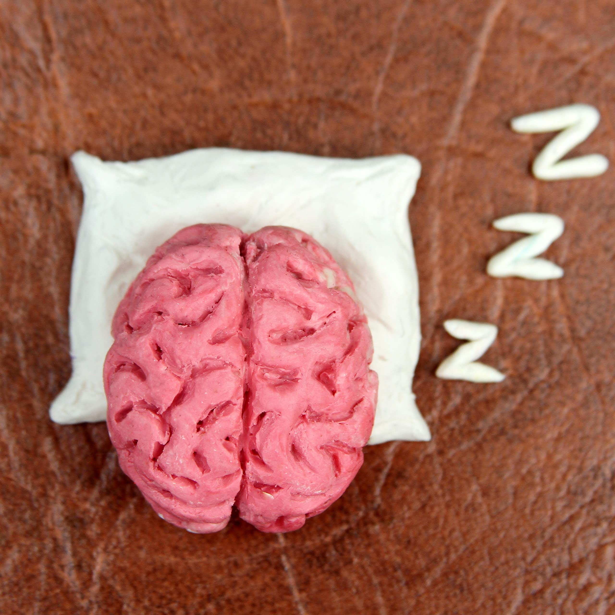 Model of a brain on a pillow with some zeds rising from it.