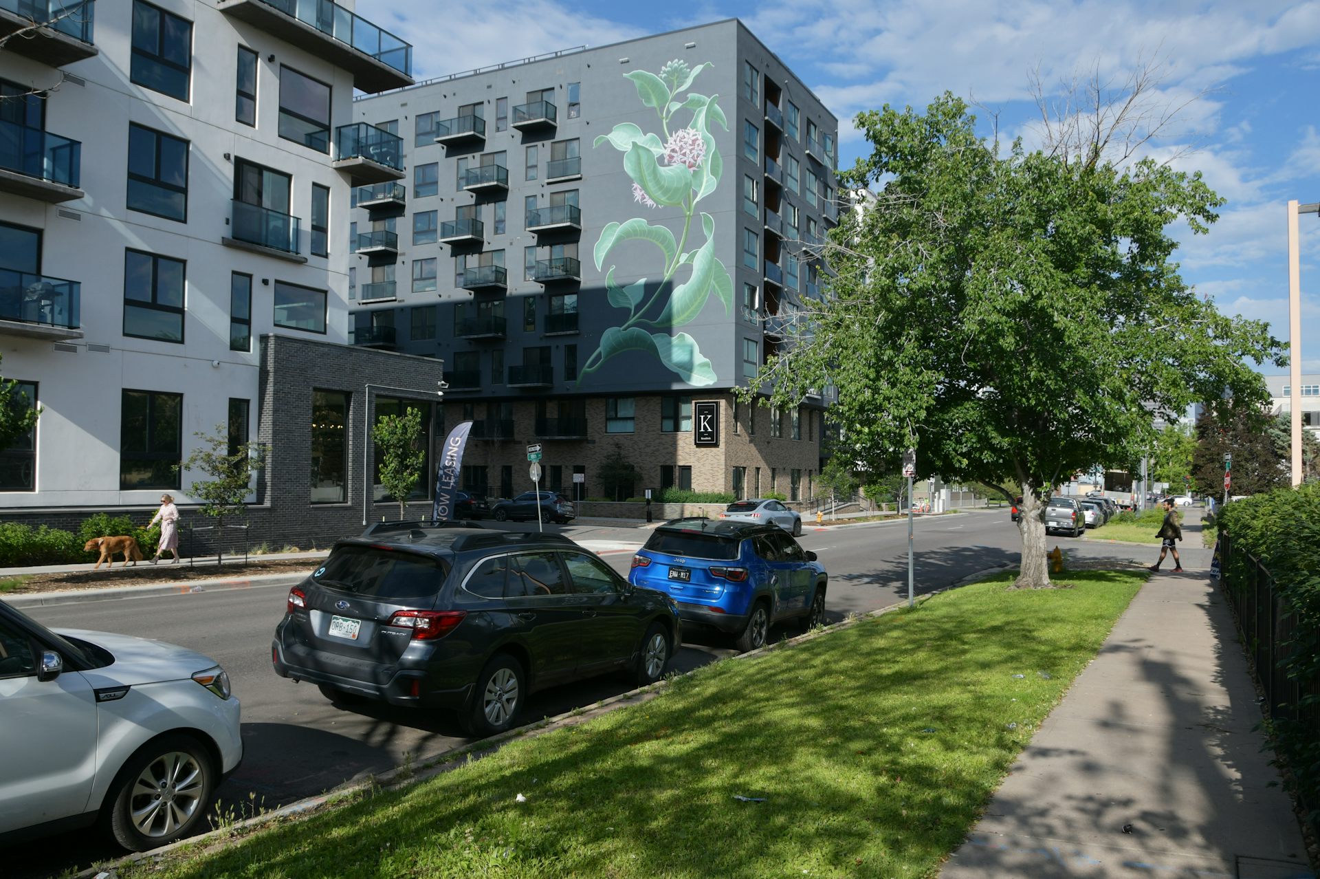 Cars parked near a patch of grass and a tree. Buildings rise in the distance.