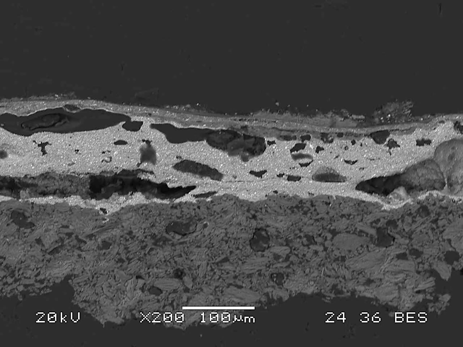 file 20251001 56 hctlg0.jpg?ixlib=rb 4.1