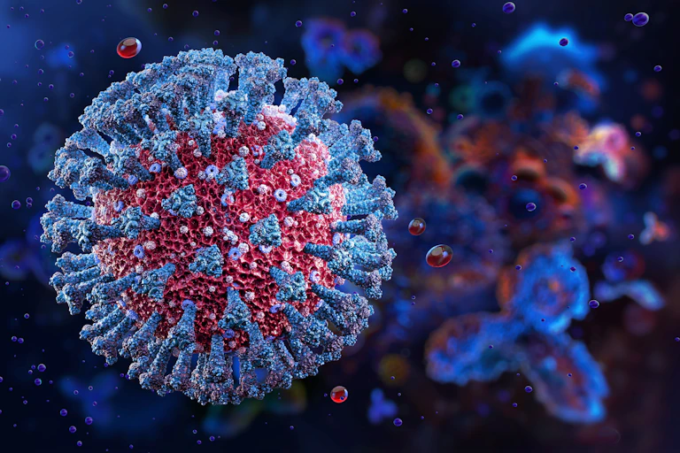 Recreación 3D del coronavirus SARS-CoV-2.