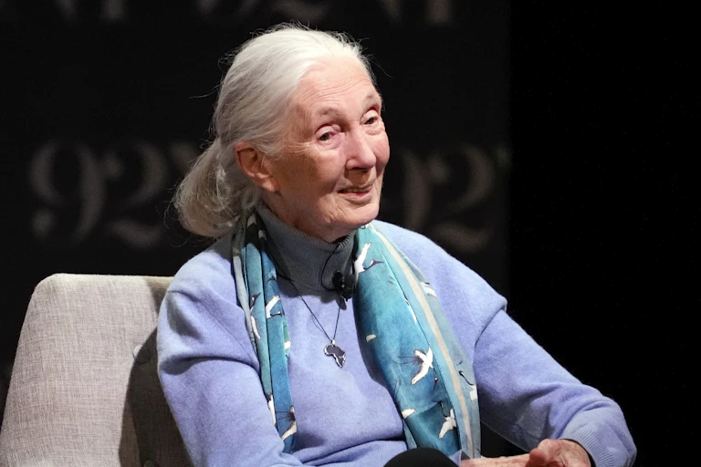 Jane Goodall conversa em um palco