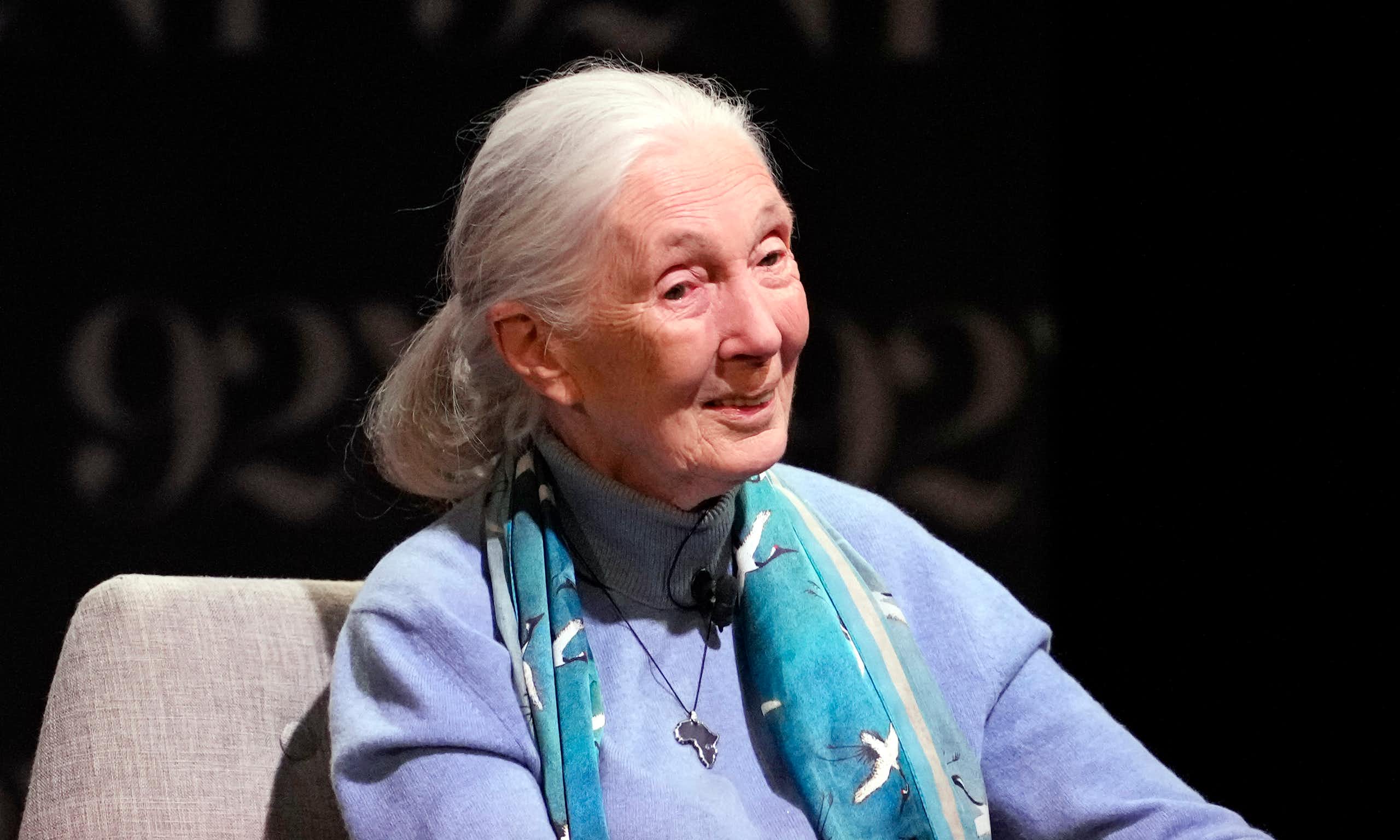 Jane Goodall conversa em um palco