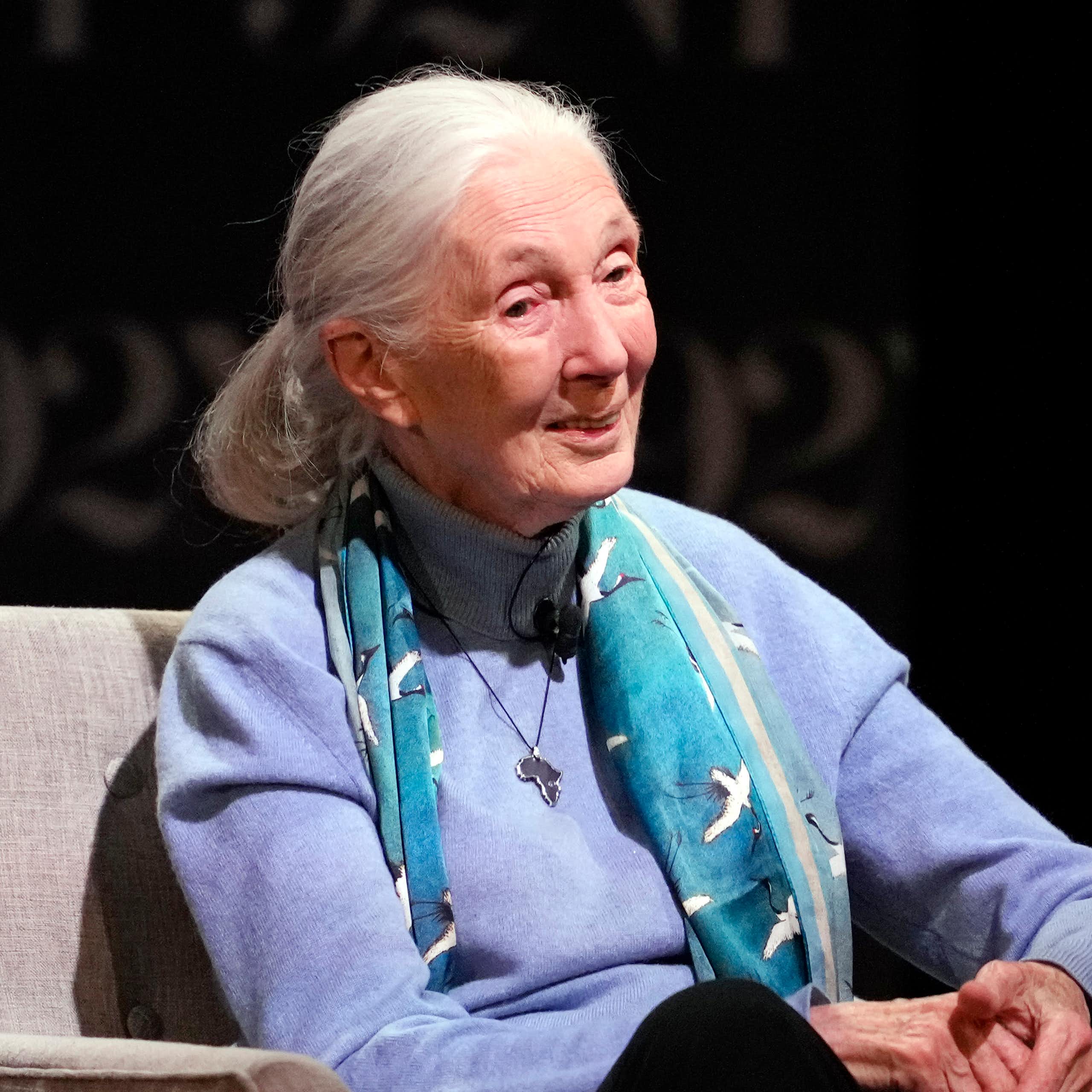 Jane Goodall conversa em um palco