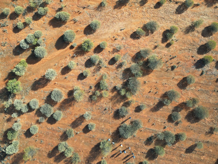 theconversation.com - Cris Brack - Are Australia's carbon farming schemes just hot air? Hardly - forests are regrowing almost everywhere