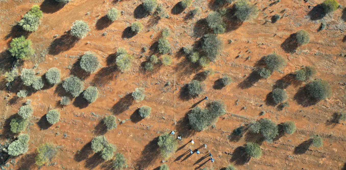 EnviroWireDaily — Are Australia’s carbon farming schemes just hot air? Hardly – forests are regrowing almost everywhere