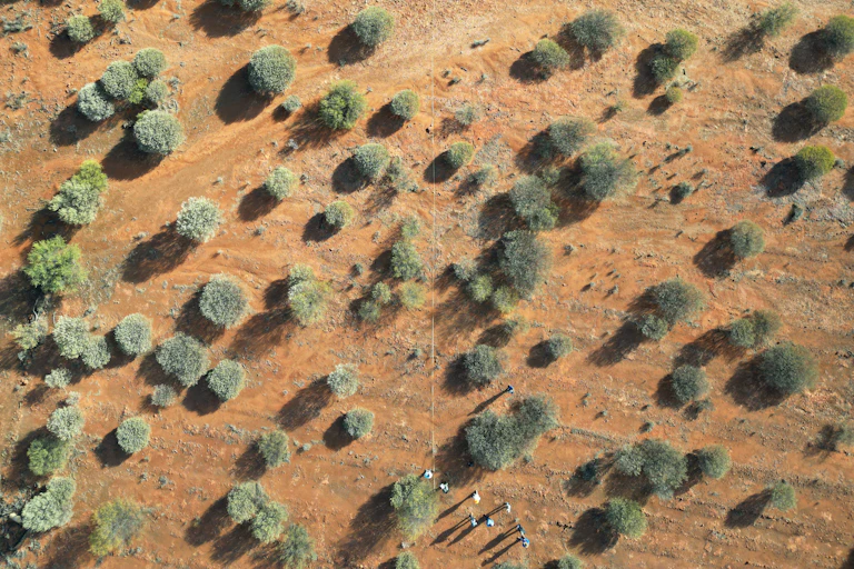 aerial photo of trees regrowing in dry inland area.