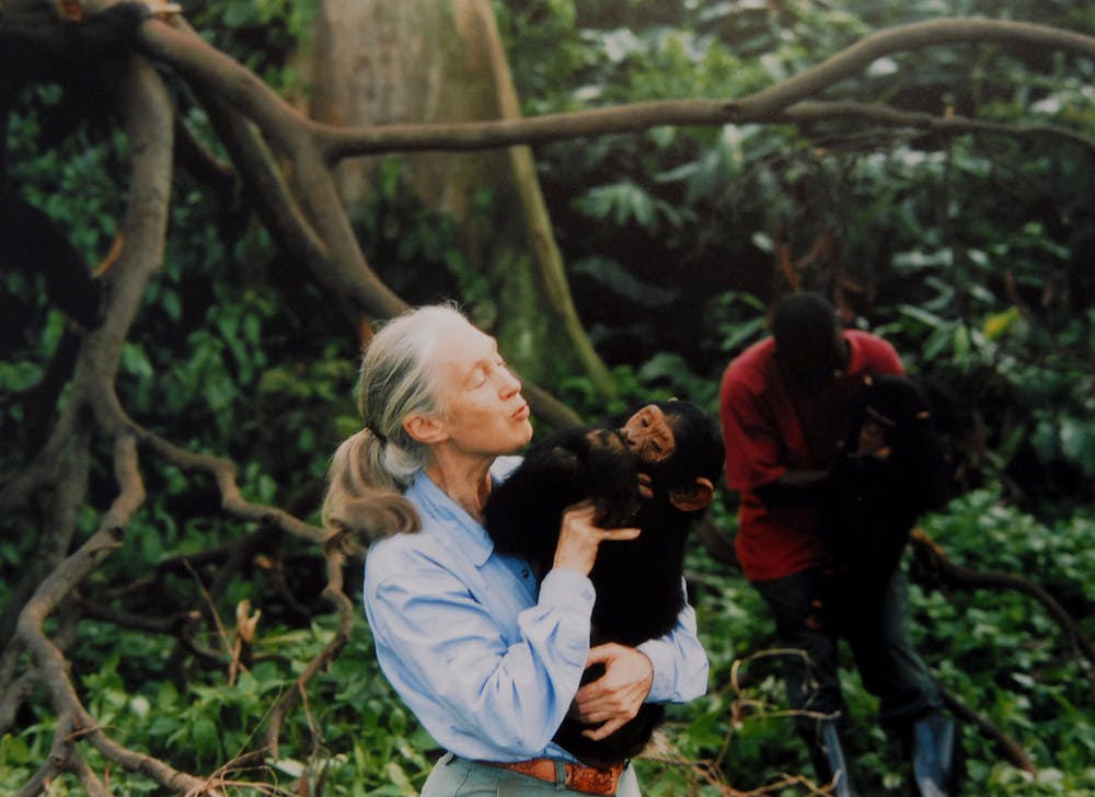 Only if we help shall all be saved': Jane Goodall showed we can all be part of the solution