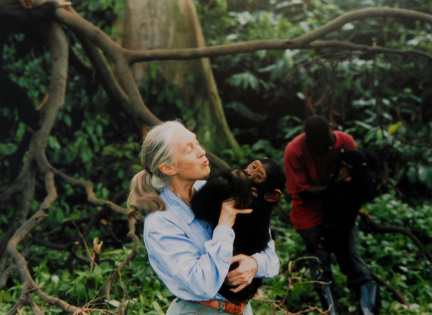 woman holding young chimpanzee in her arms.