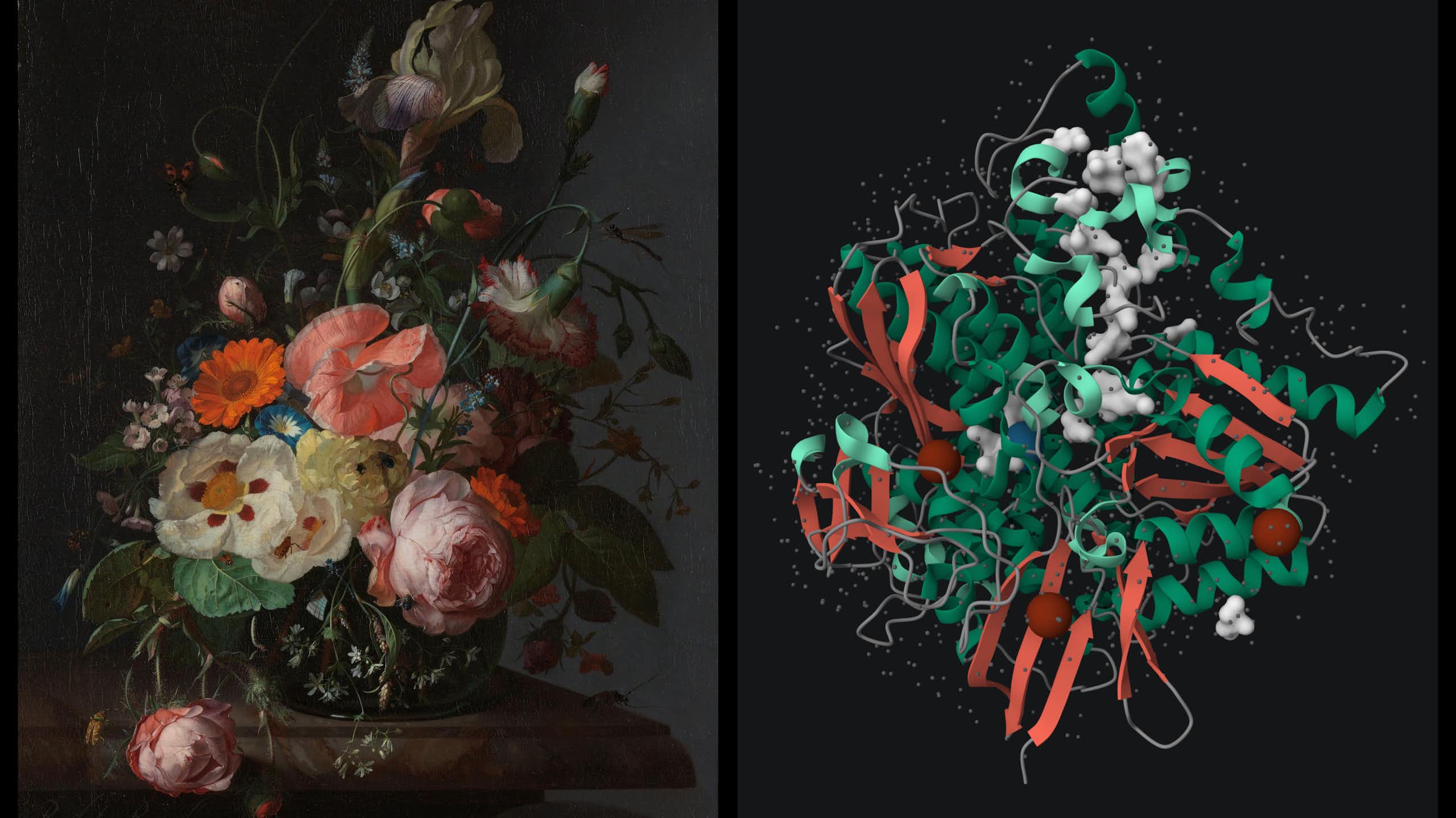 Painting of flowers next to an abstract model showing colour in lines and shapes that echo the shape of the flowers.