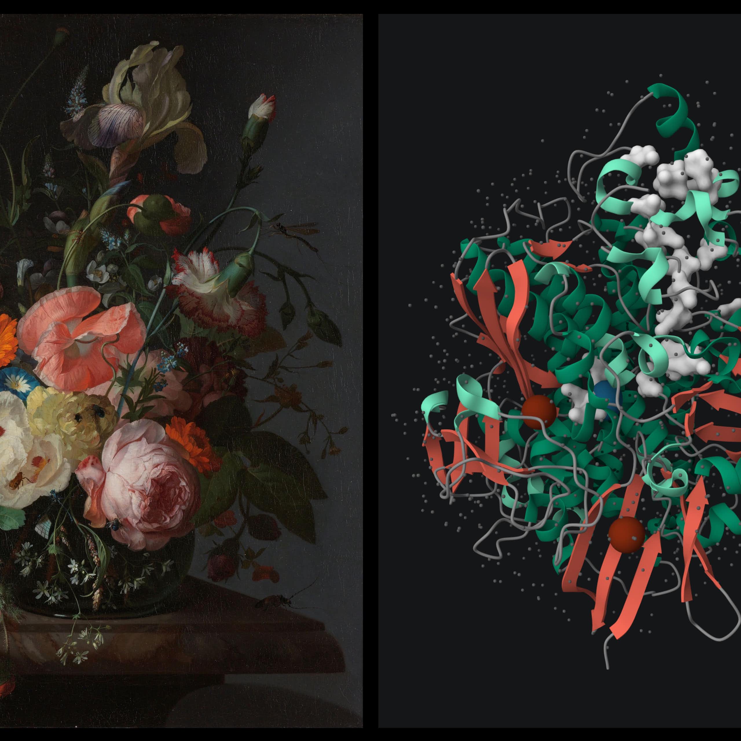 Painting of flowers next to an abstract model showing colour in lines and shapes that echo the shape of the flowers.